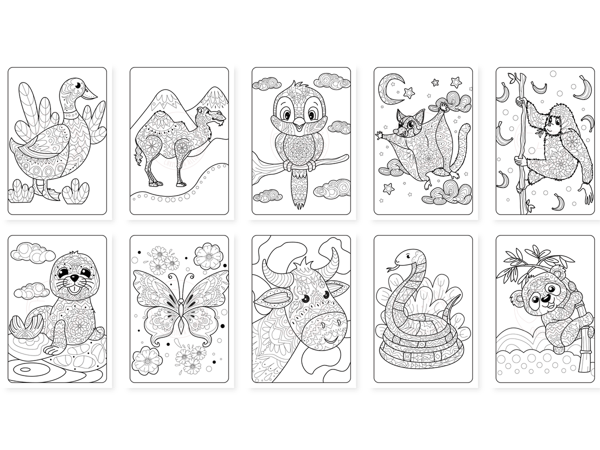 CAV01D0002_Teil_5_vorschau