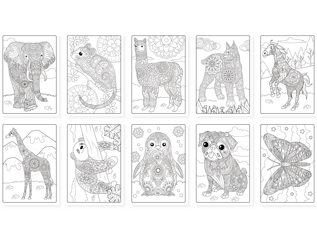 CAV01D0004_Teil_1_vorschau