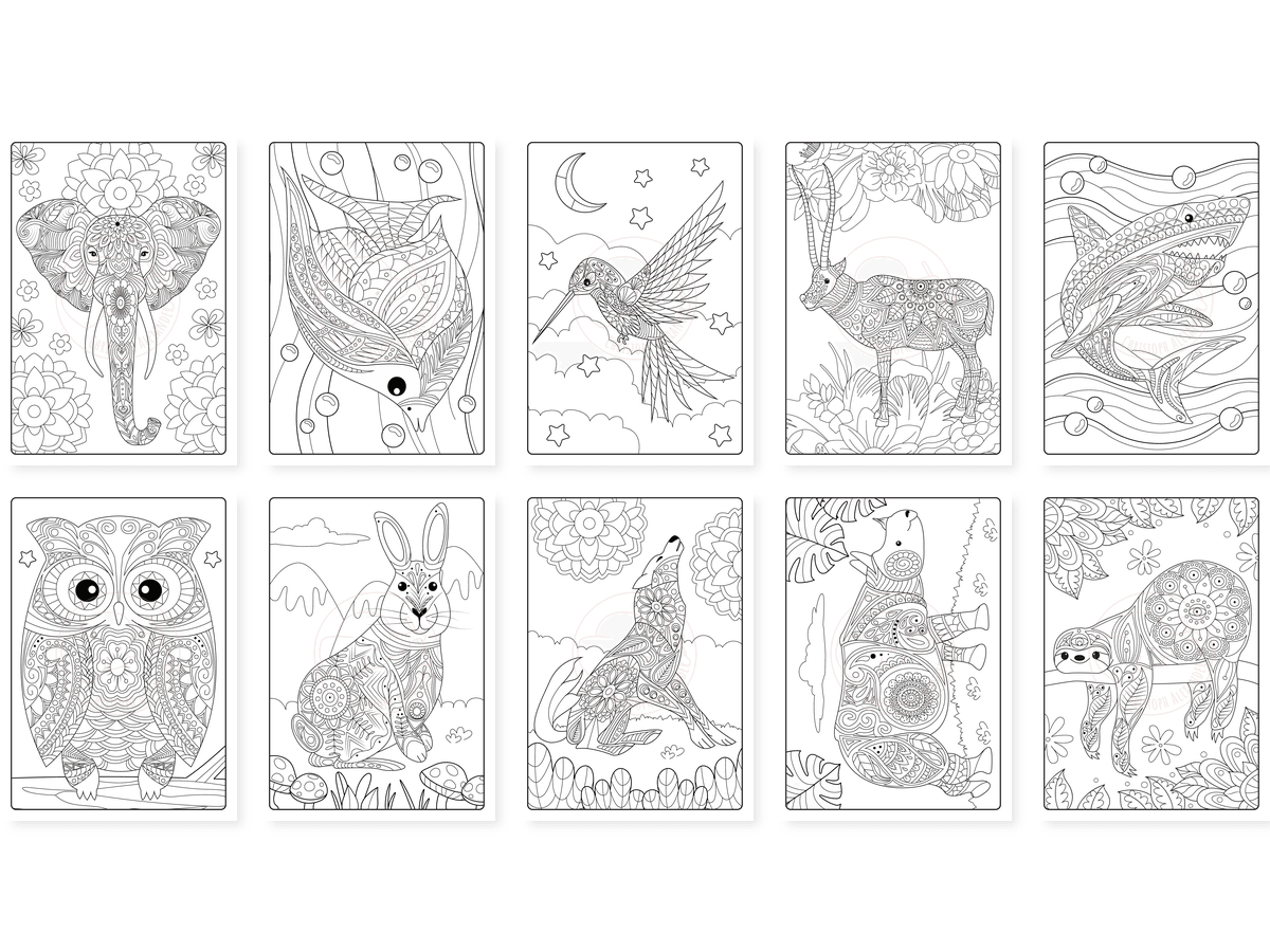 CAV01D0004_Teil_2_vorschau