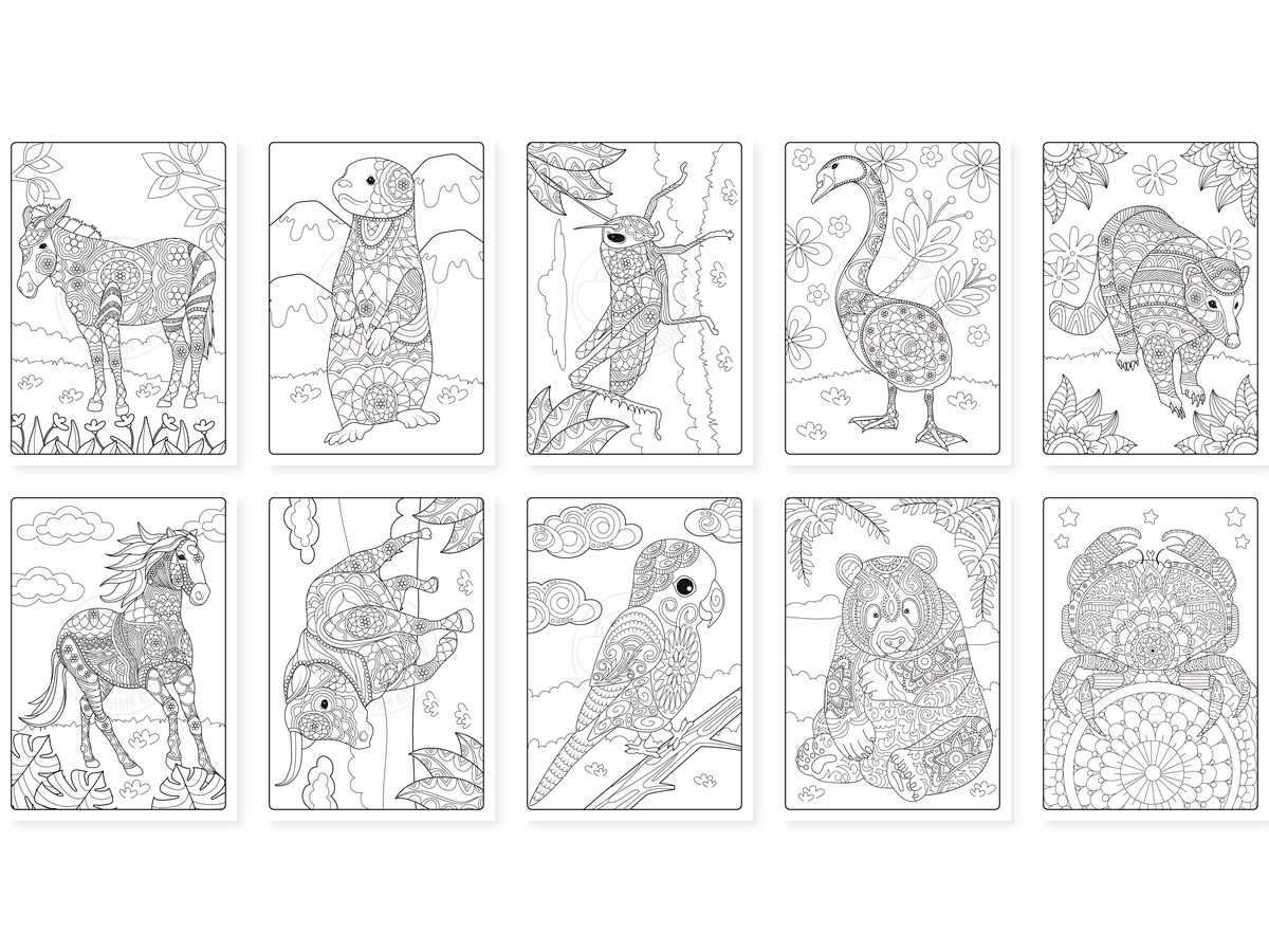 CAV01D0004_Teil_4_vorschau