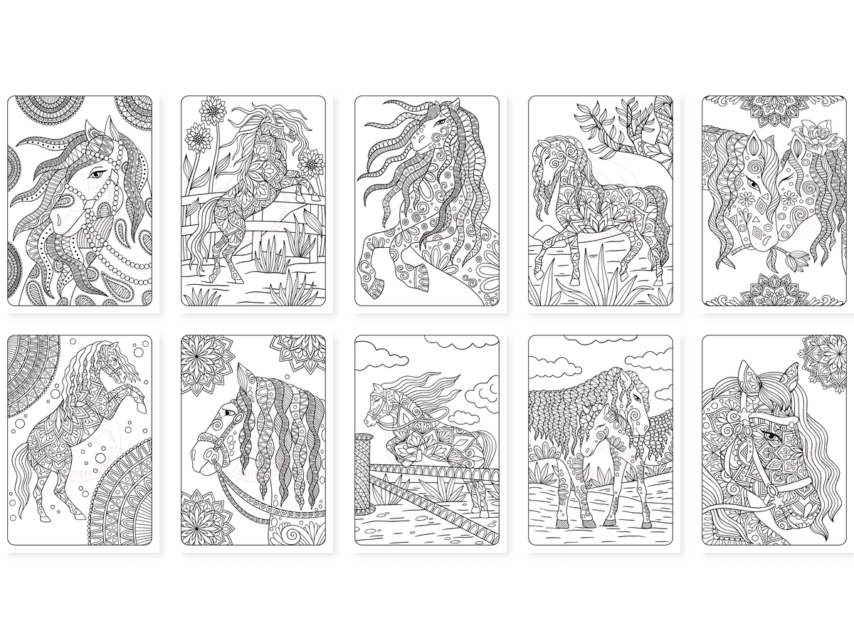 CAV01D0008_Teil_1_vorschau