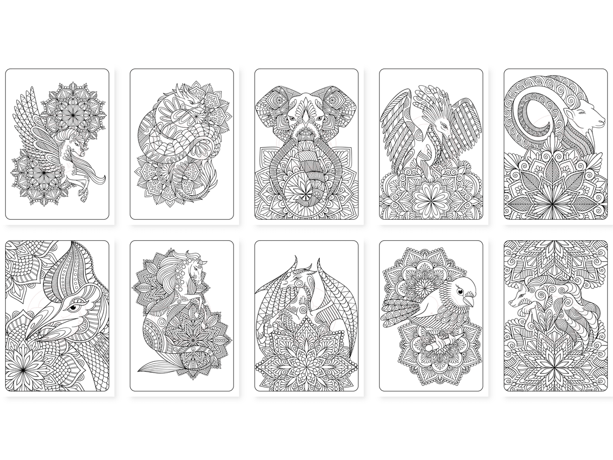 CAV01D0021_Teil_1_vorschau