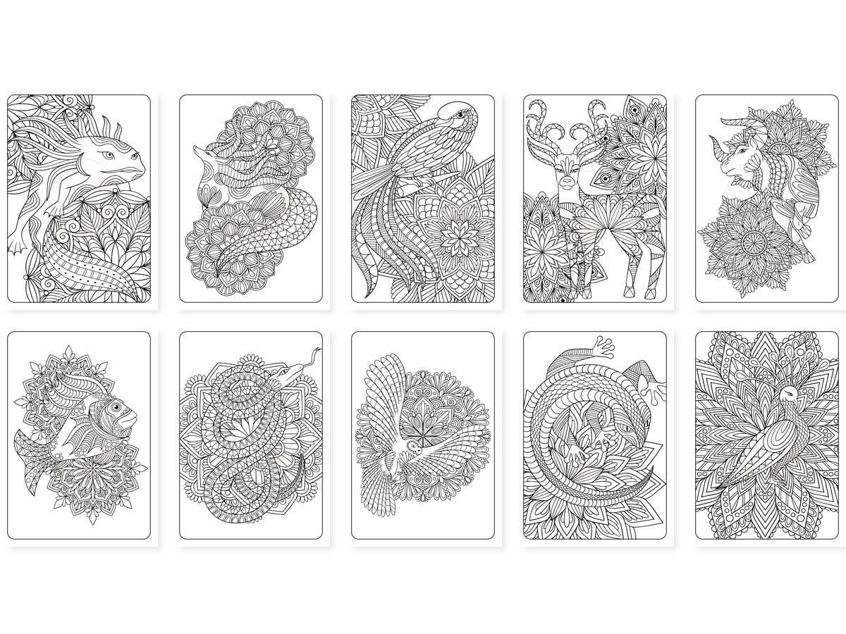 CAV01D0021_Teil_5_vorschau