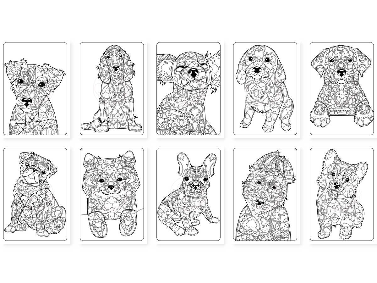 CAV01D0024_Teil_1_vorschau