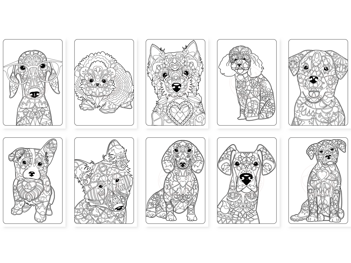 CAV01D0024_Teil_2_vorschau