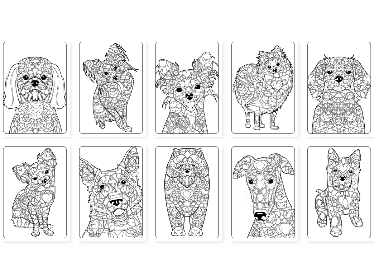 CAV01D0024_Teil_4_vorschau