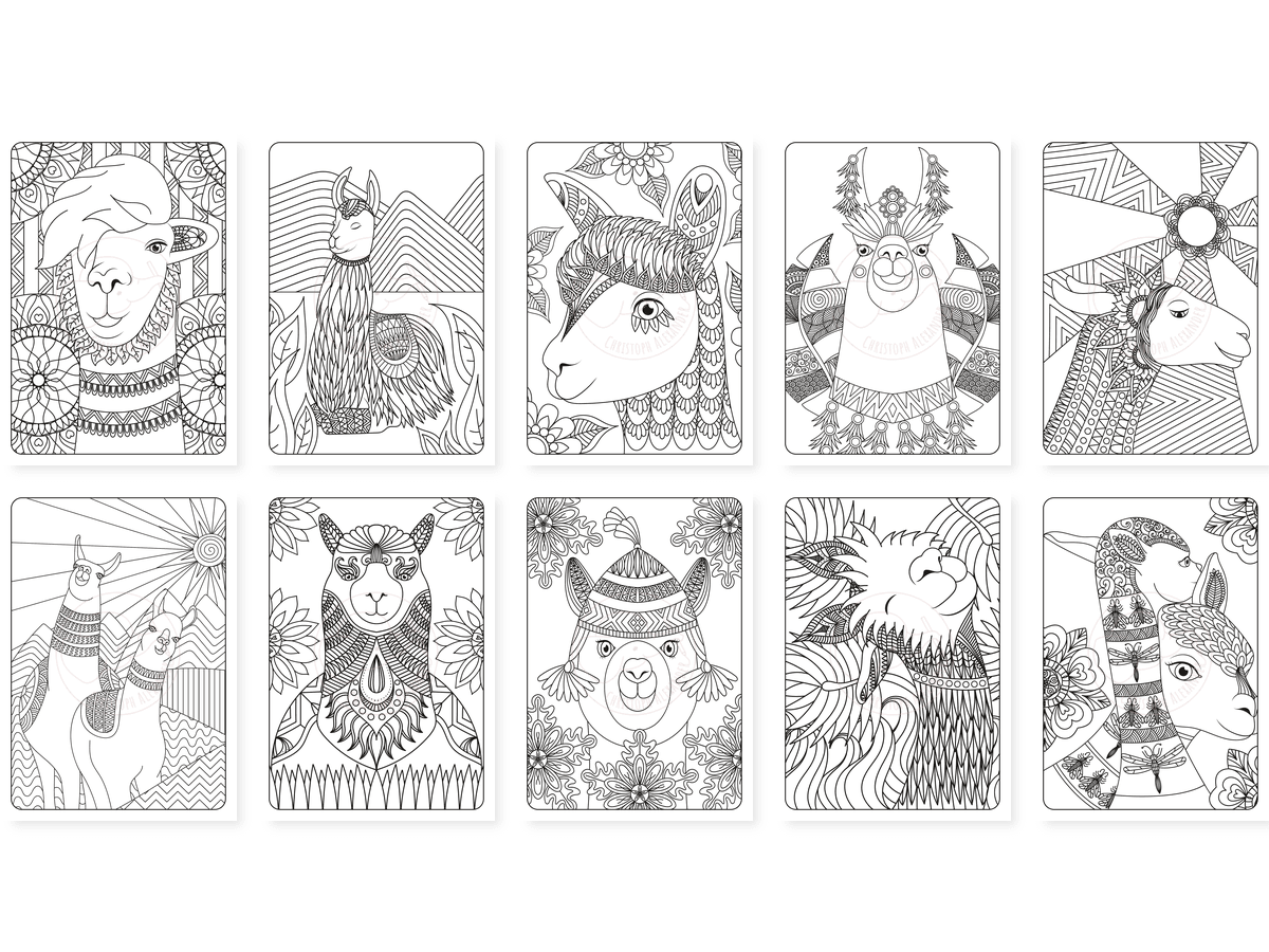 CAV01D0026_Teil_2_vorschau