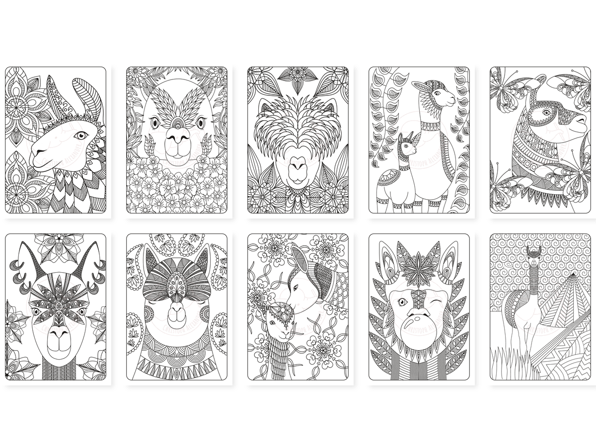 CAV01D0026_Teil_3_vorschau