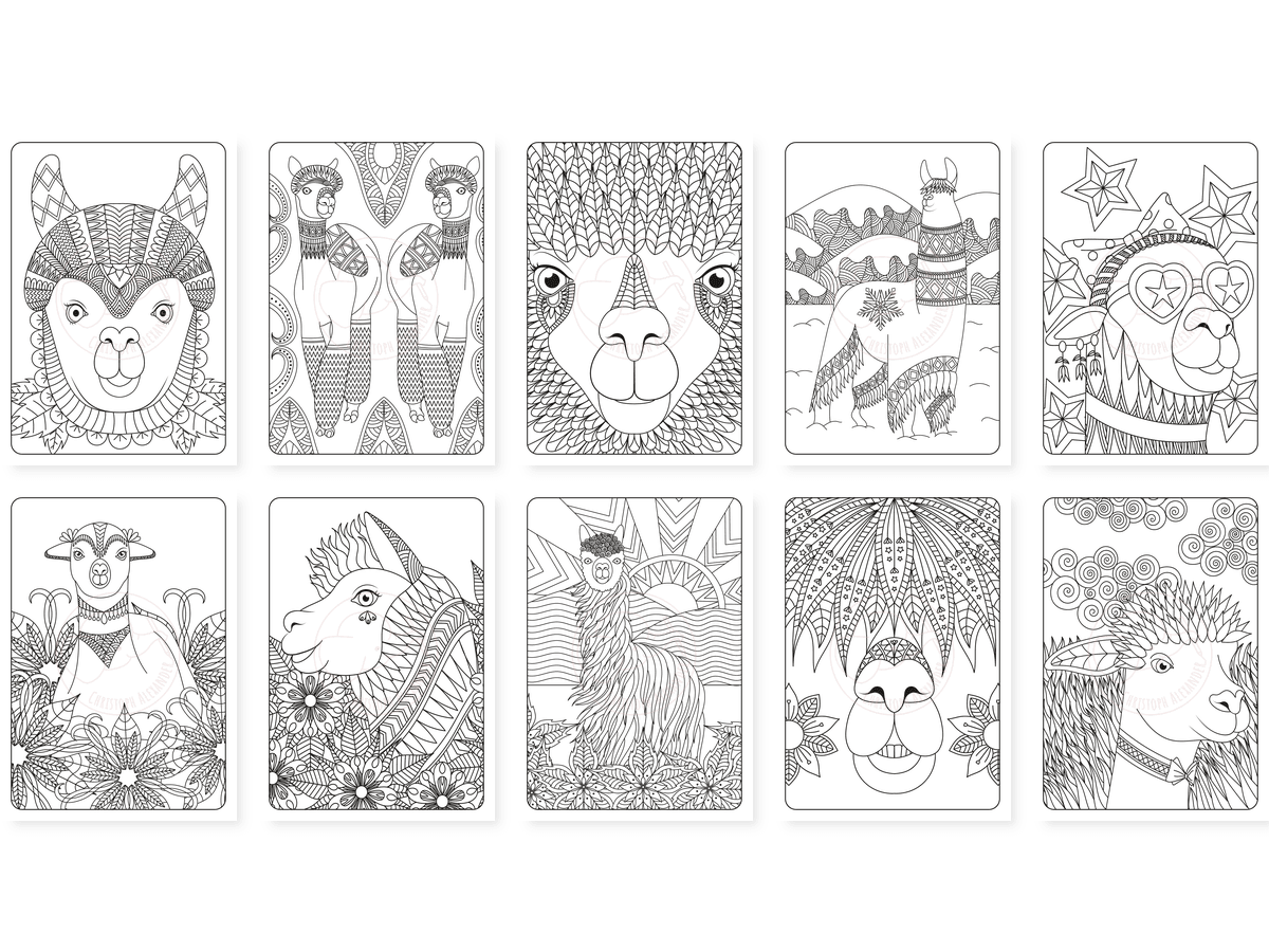 CAV01D0026_Teil_5_vorschau