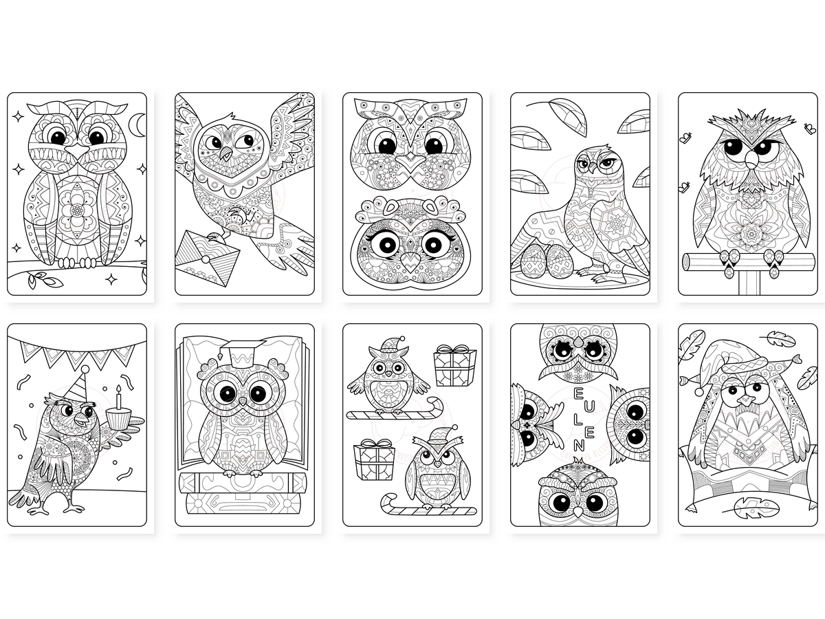 CAV01D0033_Teil_1_vorschau