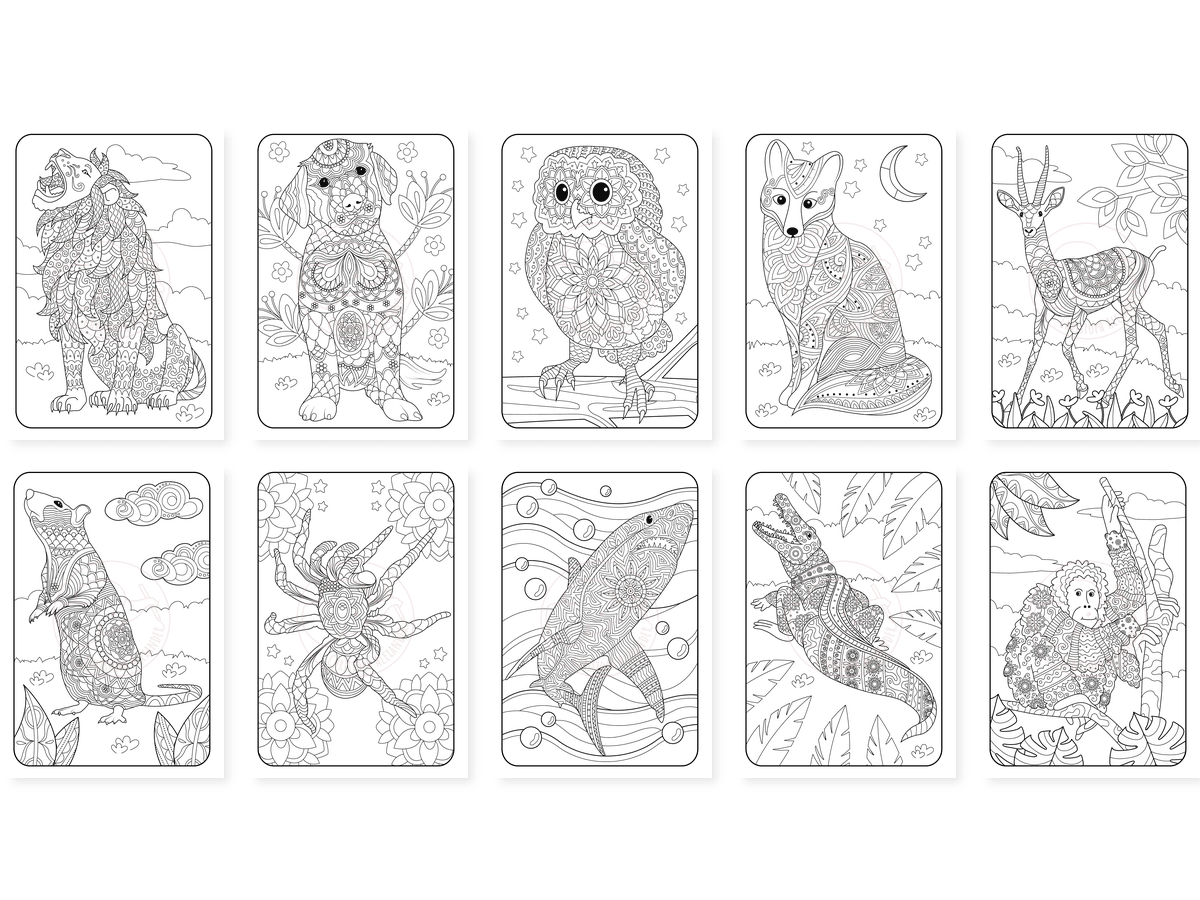 CAV01D0051_Teil_1_vorschau