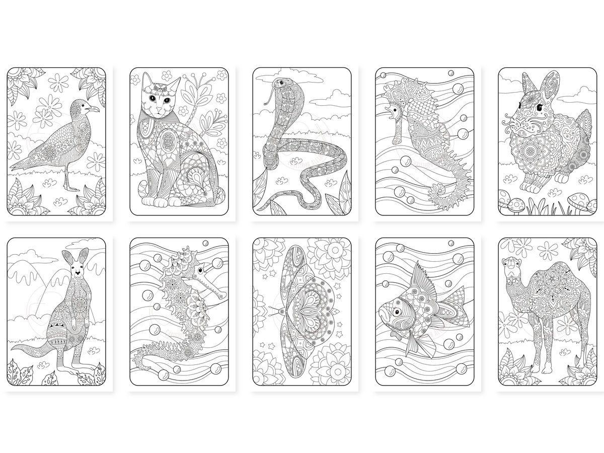 CAV01D0051_Teil_2_vorschau