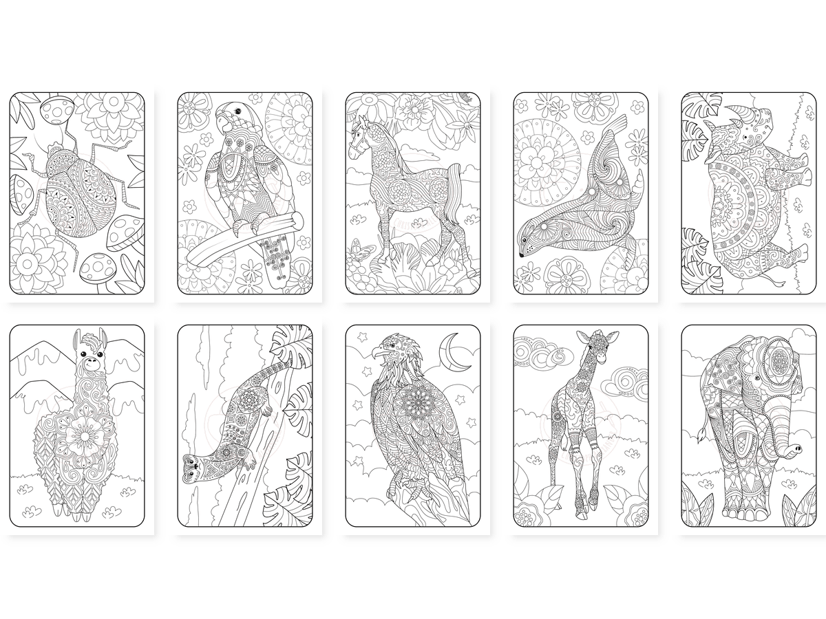 CAV01D0051_Teil_4_vorschau