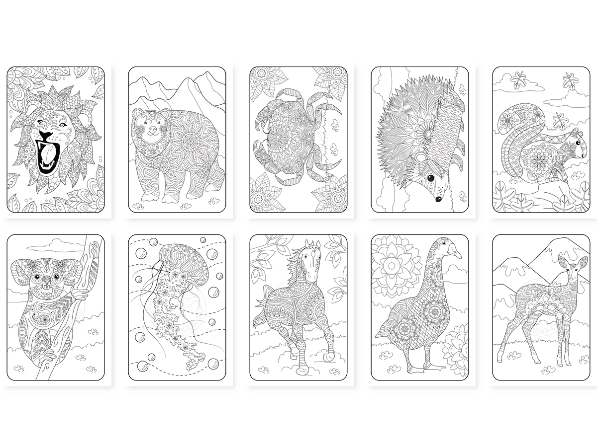 CAV01D0051_Teil_5_vorschau