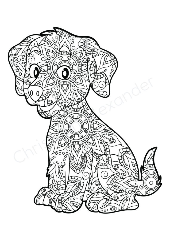 Mein Mandala Malbuch: 50 wunderschöne und einzigartige Tier - Mandalas für Kinder ab 8 Jahren zum Ausmalen und Entspannen.