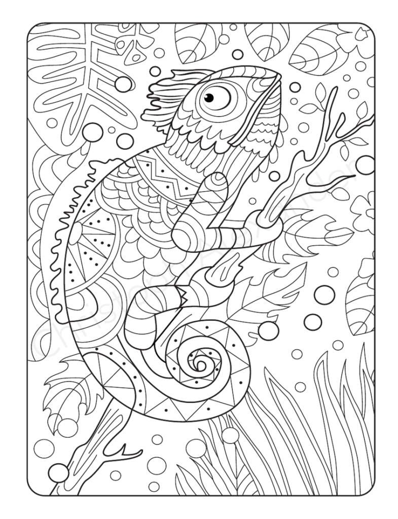 Mein tierisch tolles Mandala Malbuch: 55 wunderschöne und einzigartige Tier - Mandalas für Kinder ab 10 Jahren zum Ausmalen und Entspannen.