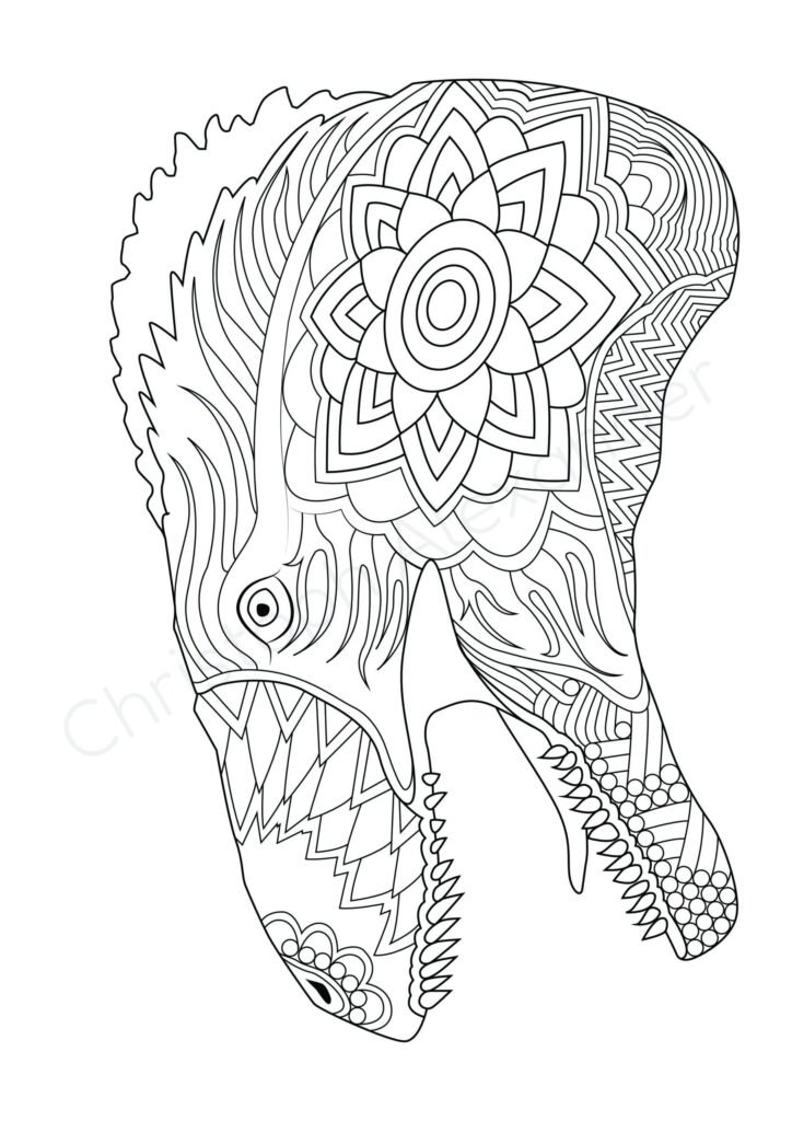 Mein gigantosaurisches Mandala Malbuch: 55 eindrucksvolle und einzigartige Dino - Mandalas für Kinder ab 8 Jahren zum Ausmalen und Entspannen.