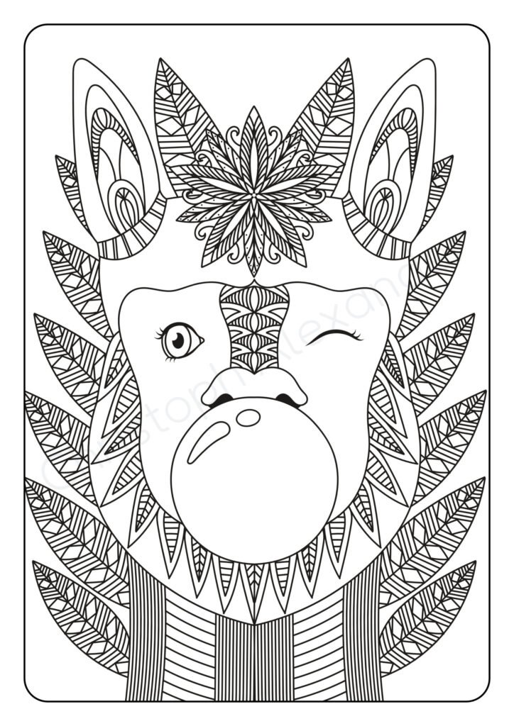 Mein lamapakatastisches Mandala Malbuch: 50 anspruchsvolle Lama und Alpaka Mandalas für Kinder zum Ausmalen und Entspannen.
