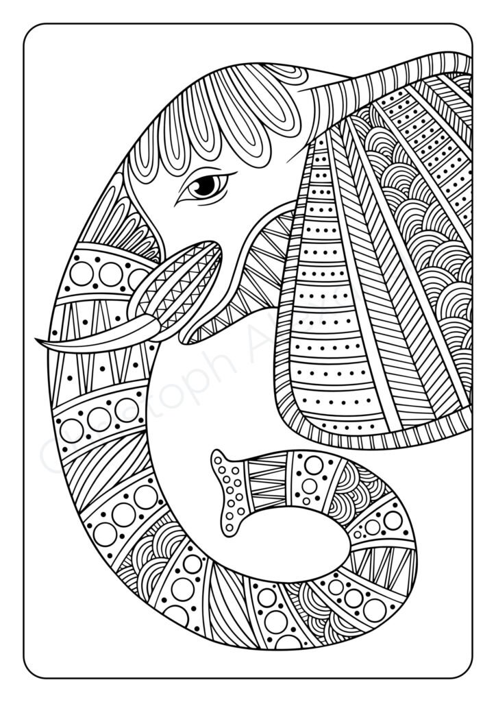Mein Mandala Malbuch: Wunderschöne Tier-Mandalas zum Ausmalen und Entspannen für Kinder ab 8+ Jahren