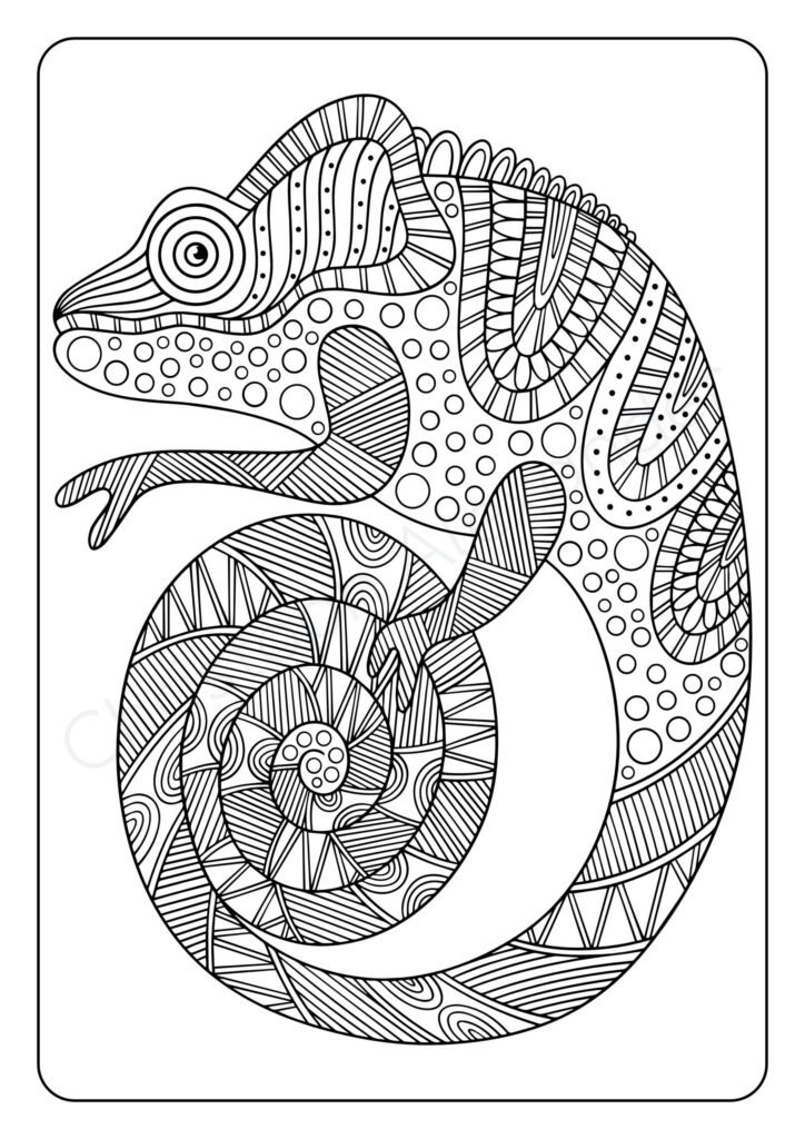 Mein Mandala Malbuch: Wunderschöne Tier-Mandalas zum Ausmalen und Entspannen für Kinder ab 8+ Jahren