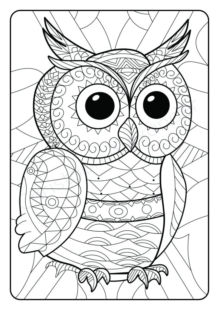 Mein eultastisches Mandala Malbuch: 50 liebevoll gestaltete Eulen-Mandalas für Kinder ab 8 Jahren zum Ausmalen und Entspannen.