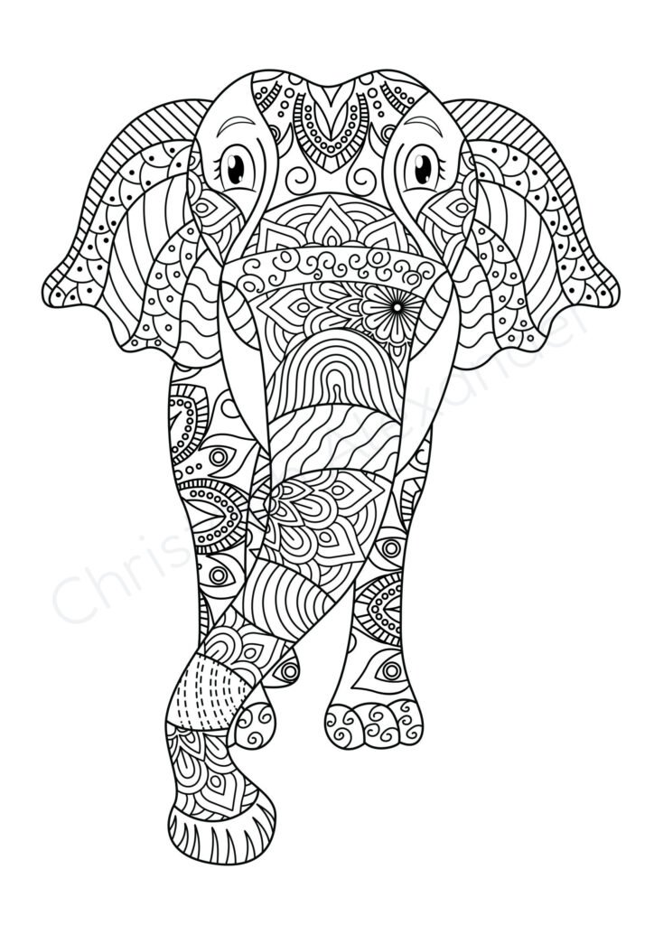 Mein Mandala Malbuch: 50 tierisch tolle Tiermandalas für Kinder ab 10+ Jahren zum Ausmalen und als Kopiervorlage für PädagogInnen.