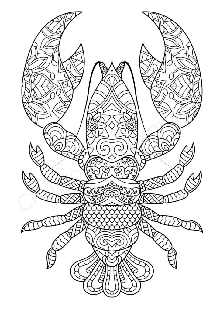 Mein Mandala Malbuch: 50 tierisch tolle Tier-Mandalas für Kinder ab 8 Jahren zum Ausmalen und Entspannen.