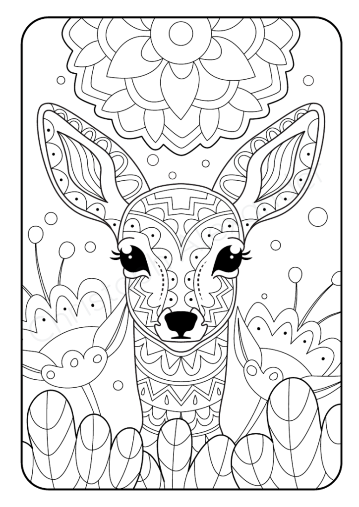 Mein Mandala Malbuch: 55 tierisch tolle Tiermandalas für Kinder ab 10+ Jahren zum Ausmalen und als Kopiervorlage für PädagogInnen.