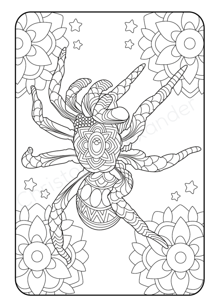 Mein Mandala Malbuch: Der tierische Ausmalspaß – 50 Tier-Mandalas, die Kinder lieben werden!