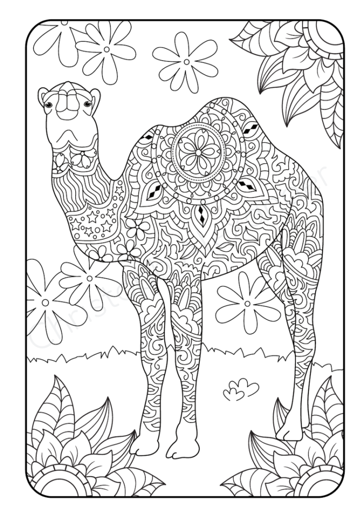 Mein Mandala Malbuch: Der tierische Ausmalspaß – 50 Tier-Mandalas, die Kinder lieben werden!
