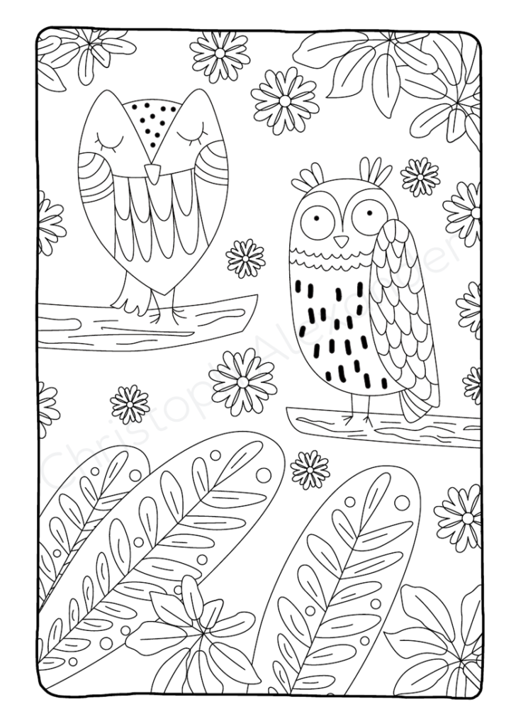 Eulenschön!: 50 eultastische Ausmalbilder – von Illustrator:innen erstellt, einseitig gedruckt & mit PDF-Bonus für endlosen Malspaß