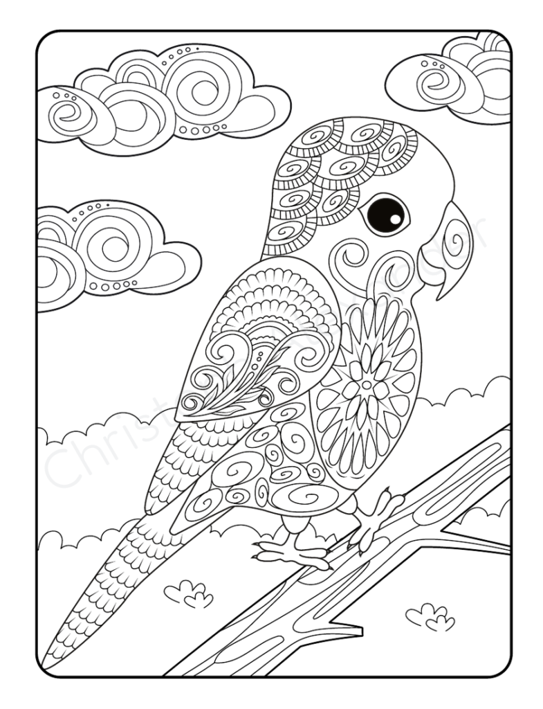 Mein tierisch tolles Mandala Malbuch: 55 wunderschöne und einzigartige Tier - Mandalas für Kinder ab 8 Jahren zum Ausmalen und Entspannen.